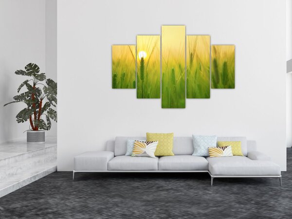 Slika polja sa žitom (150x105 cm)