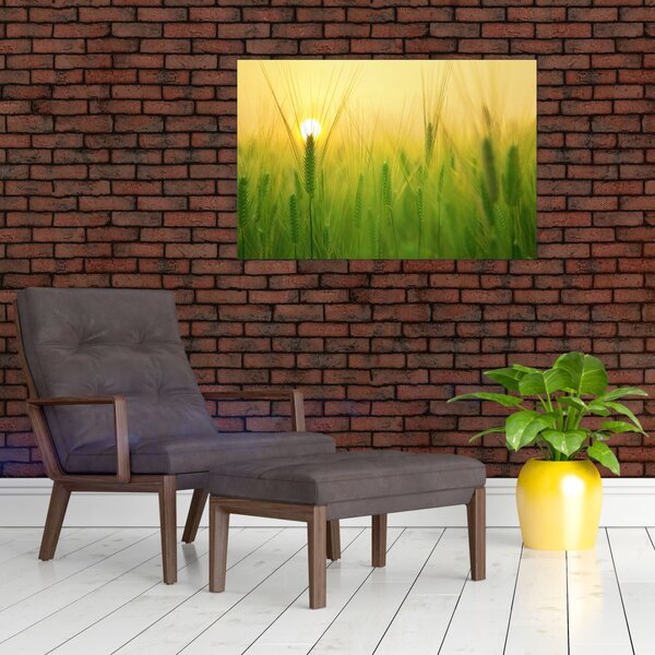 Slika polja sa žitom (90x60 cm)