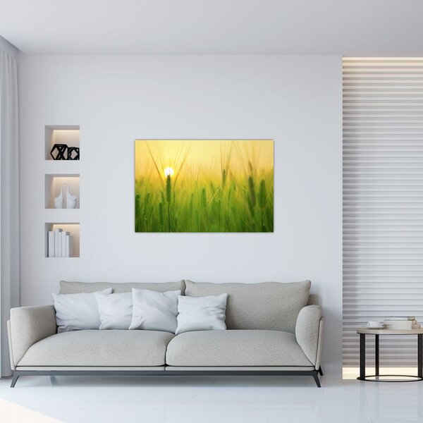 Slika polja sa žitom (90x60 cm)