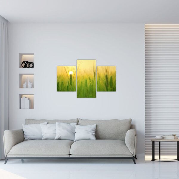 Slika polja sa žitom (90x60 cm)
