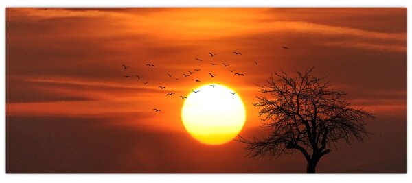 Slika - Zalazak sunca (120x50 cm)