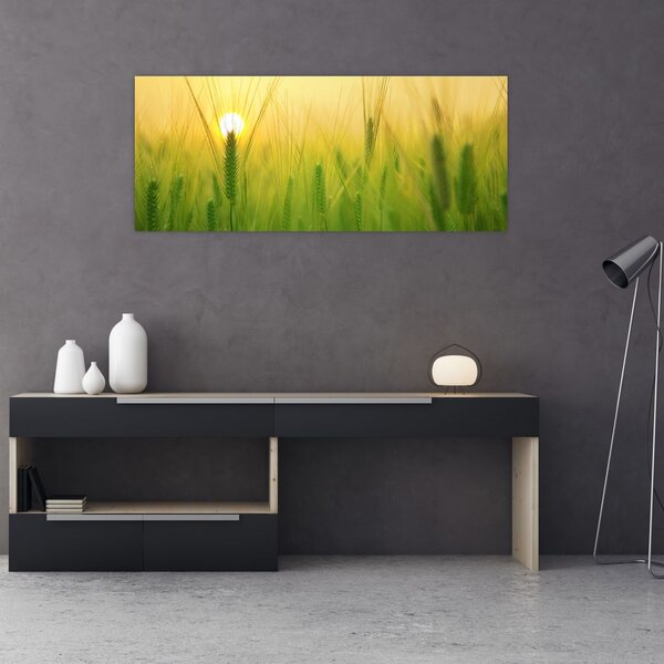 Slika polja sa žitom (120x50 cm)