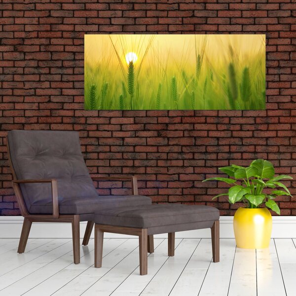 Slika polja sa žitom (120x50 cm)