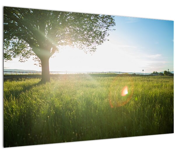 Slika stabla u polju (90x60 cm)