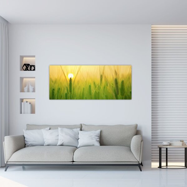 Slika polja sa žitom (120x50 cm)