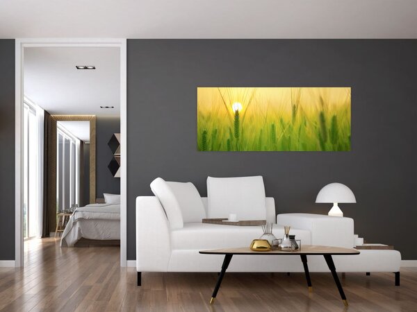 Slika polja sa žitom (120x50 cm)
