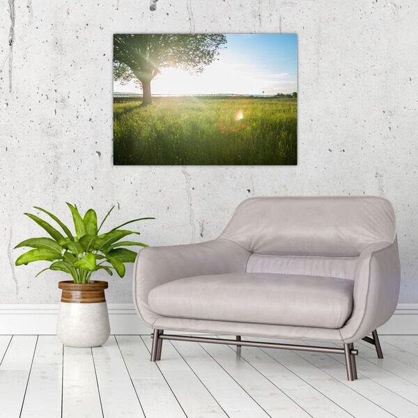 Slika stabla u polju (70x50 cm)