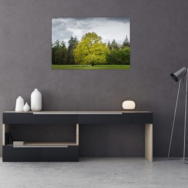 Slika zelenog stabla usred polja (90x60 cm)