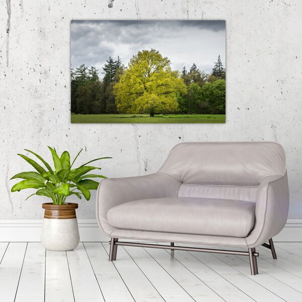 Slika zelenog stabla usred polja (90x60 cm)