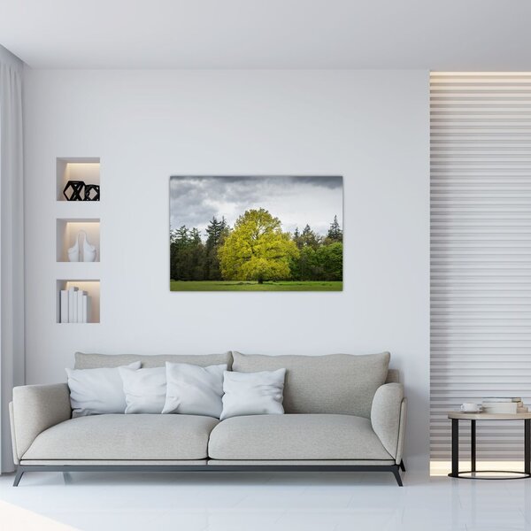 Slika zelenog stabla usred polja (90x60 cm)