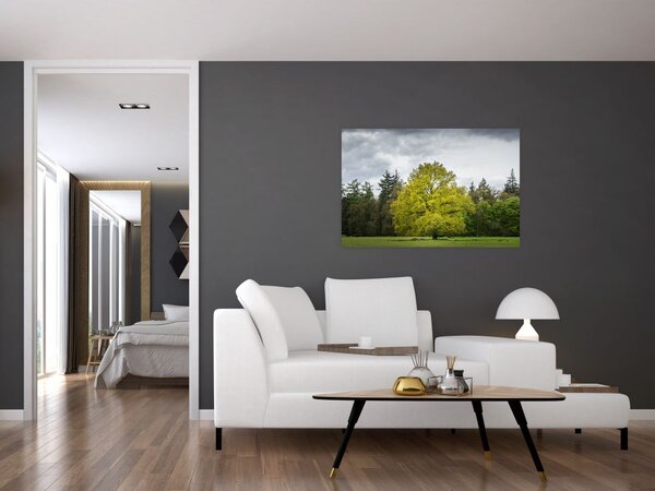 Slika zelenog stabla usred polja (90x60 cm)