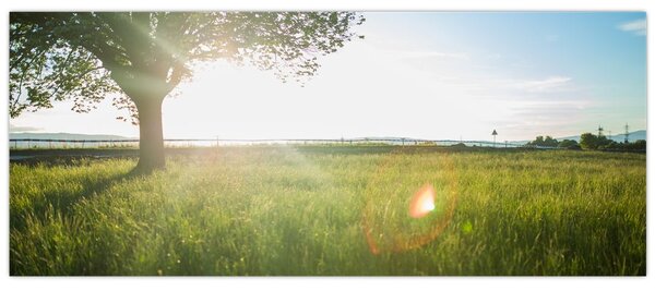 Slika stabla u polju (120x50 cm)