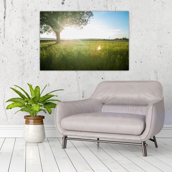 Slika stabla u polju (90x60 cm)