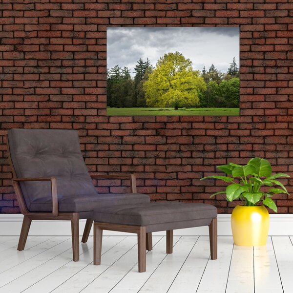 Slika zelenog stabla usred polja (90x60 cm)
