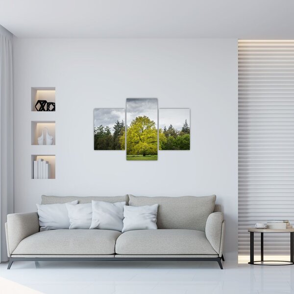 Slika zelenog stabla usred polja (90x60 cm)