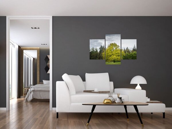 Slika zelenog stabla usred polja (90x60 cm)