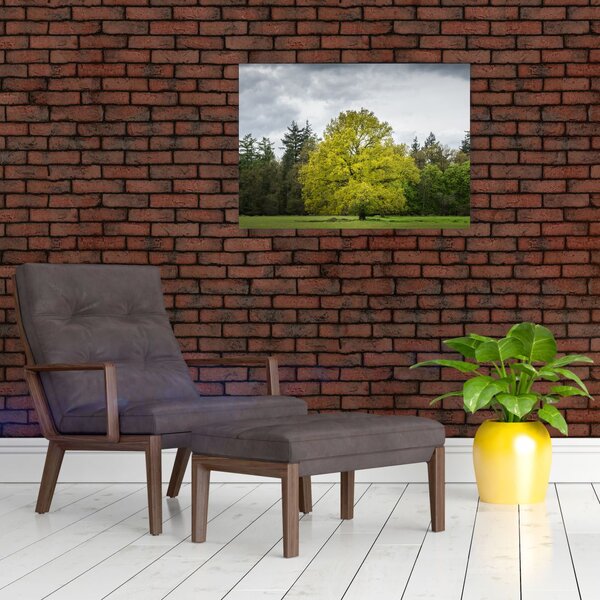 Slika zelenog stabla usred polja (70x50 cm)