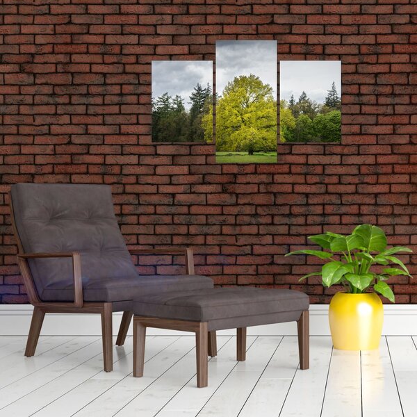 Slika zelenog stabla usred polja (90x60 cm)