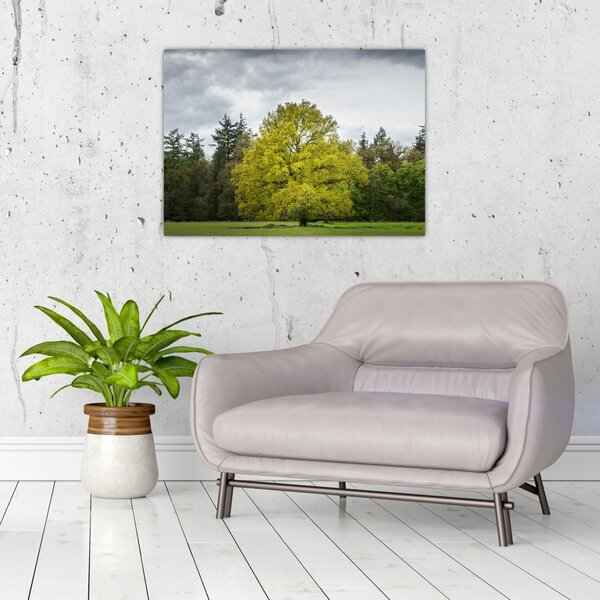Slika zelenog stabla usred polja (70x50 cm)