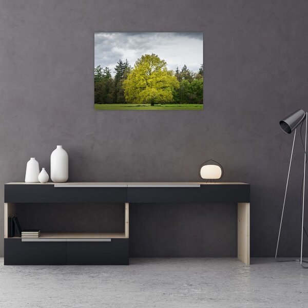 Slika zelenog stabla usred polja (70x50 cm)