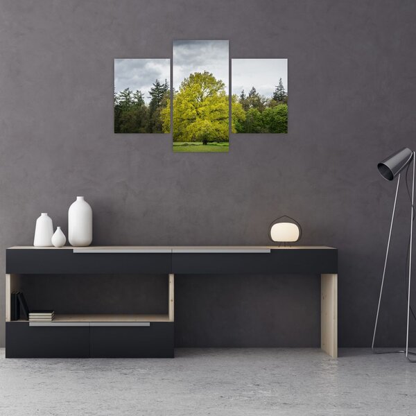 Slika zelenog stabla usred polja (90x60 cm)