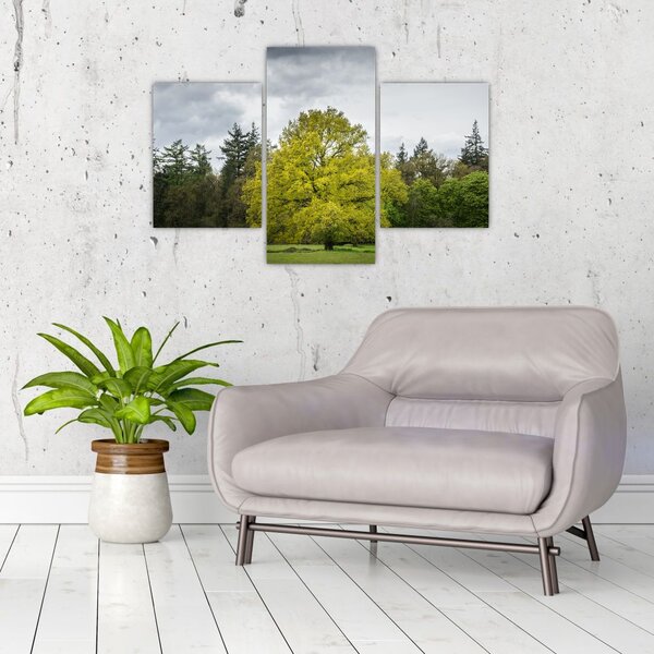 Slika zelenog stabla usred polja (90x60 cm)