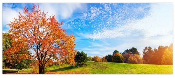 Slika - Jesenski krajolik (120x50 cm)