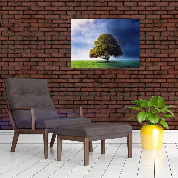 Slika - Dan i noć (70x50 cm)
