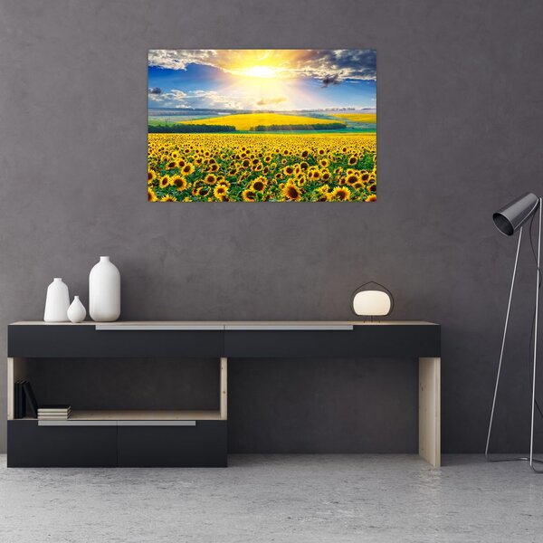 Slika - Polje suncokreta (90x60 cm)