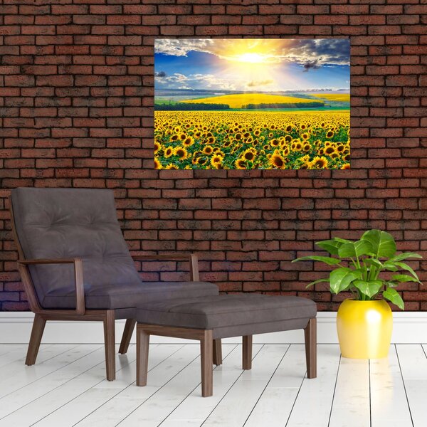 Slika - Polje suncokreta (90x60 cm)