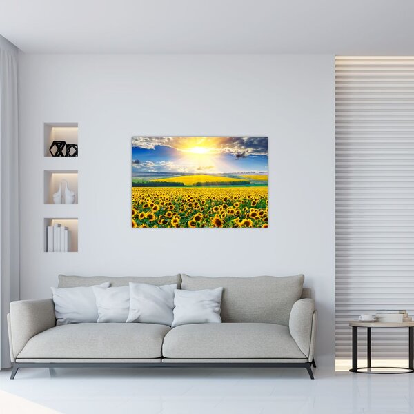 Slika - Polje suncokreta (90x60 cm)