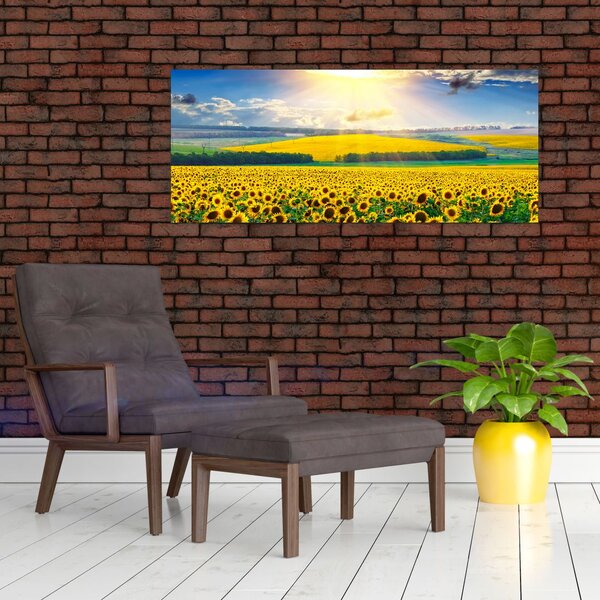 Slika - Polje suncokreta (120x50 cm)