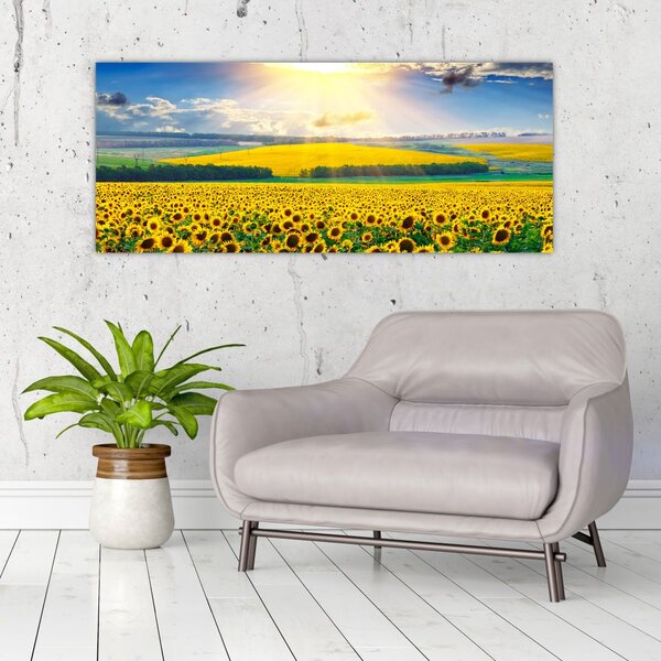 Slika - Polje suncokreta (120x50 cm)