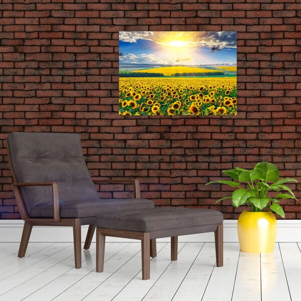 Slika - Polje suncokreta (70x50 cm)