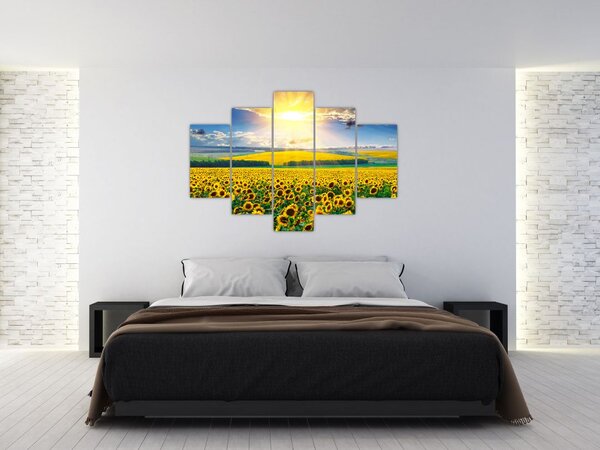 Slika - Polje suncokreta (150x105 cm)