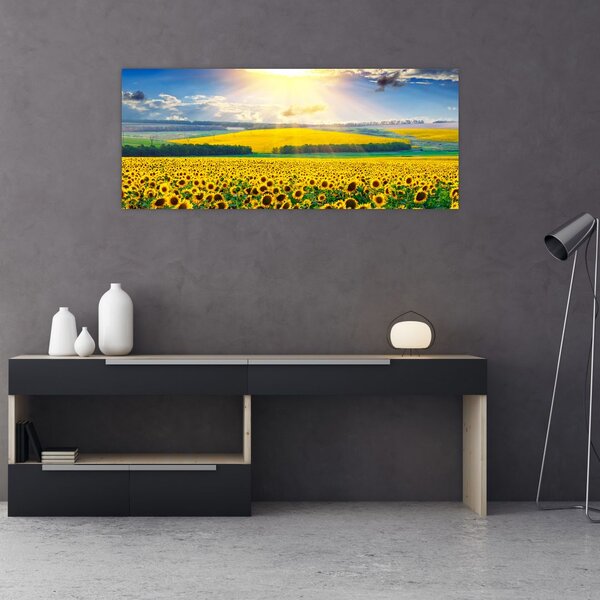 Slika - Polje suncokreta (120x50 cm)