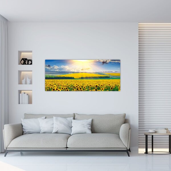 Slika - Polje suncokreta (120x50 cm)