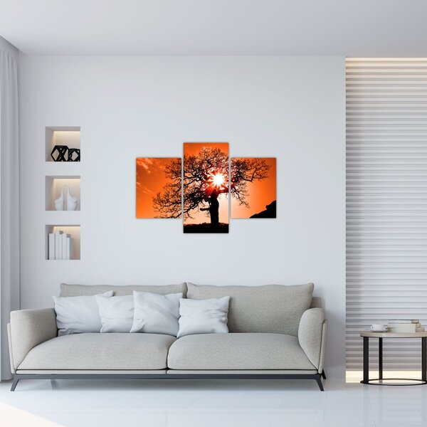 Slika - Stablo hrasta pri zalasku sunca (90x60 cm)