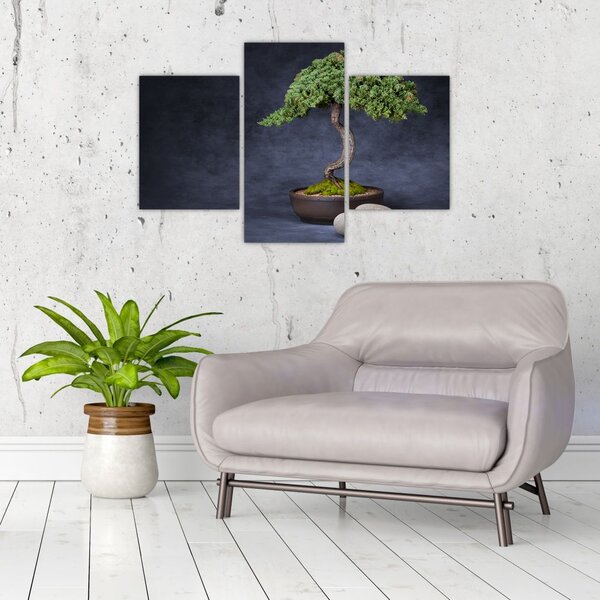 Slika - Bonsai (90x60 cm)