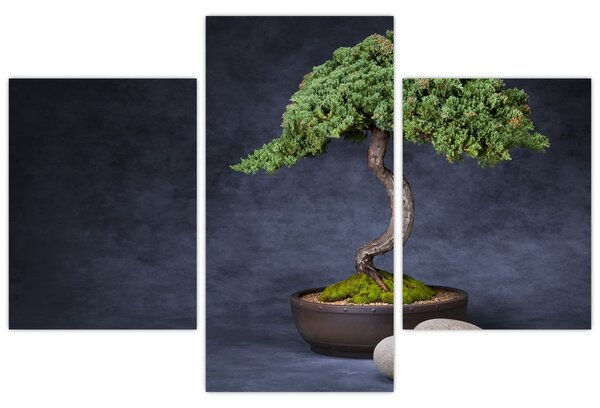 Slika - Bonsai (90x60 cm)