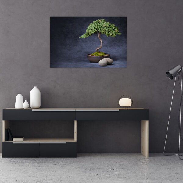 Slika - Bonsai (90x60 cm)