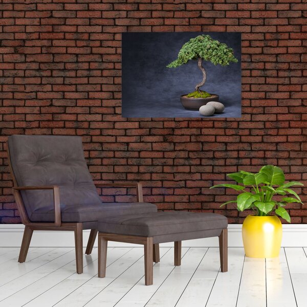 Slika - Bonsai (70x50 cm)