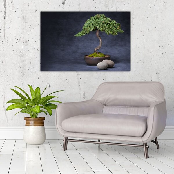Slika - Bonsai (90x60 cm)