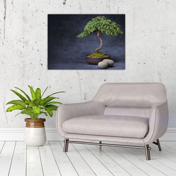 Slika - Bonsai (70x50 cm)