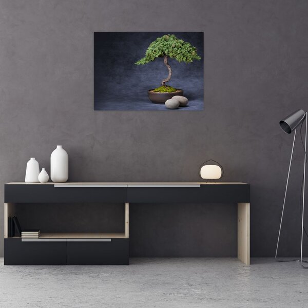 Slika - Bonsai (70x50 cm)