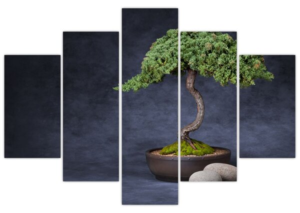 Slika - Bonsai (150x105 cm)