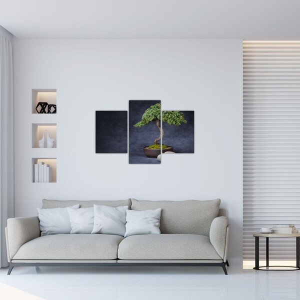 Slika - Bonsai (90x60 cm)