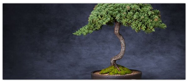 Slika - Bonsai (120x50 cm)