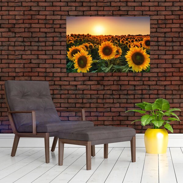 Slika - Suncokret (90x60 cm)