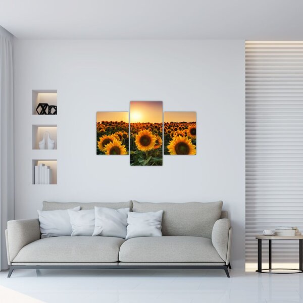 Slika - Suncokret (90x60 cm)